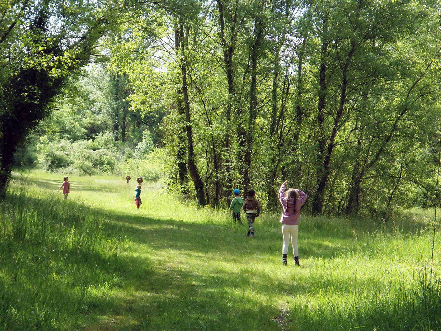 Les Saligues de l'Adour, Cazères-sur-l'Adour - photo 5