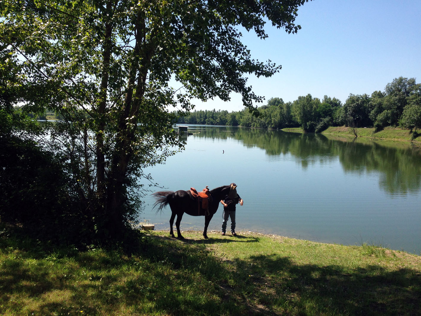 Les Saligues de l'Adour - photo 5