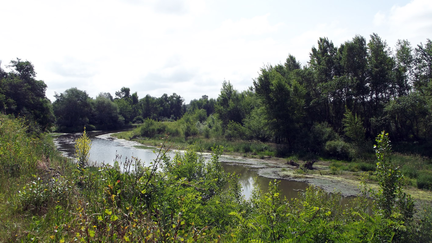 Les Saligues de l'Adour, Cazères-sur-l'Adour - photo 6