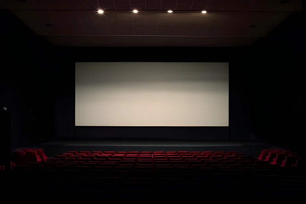 Cinéma Le Margot, Nérac - photo 3