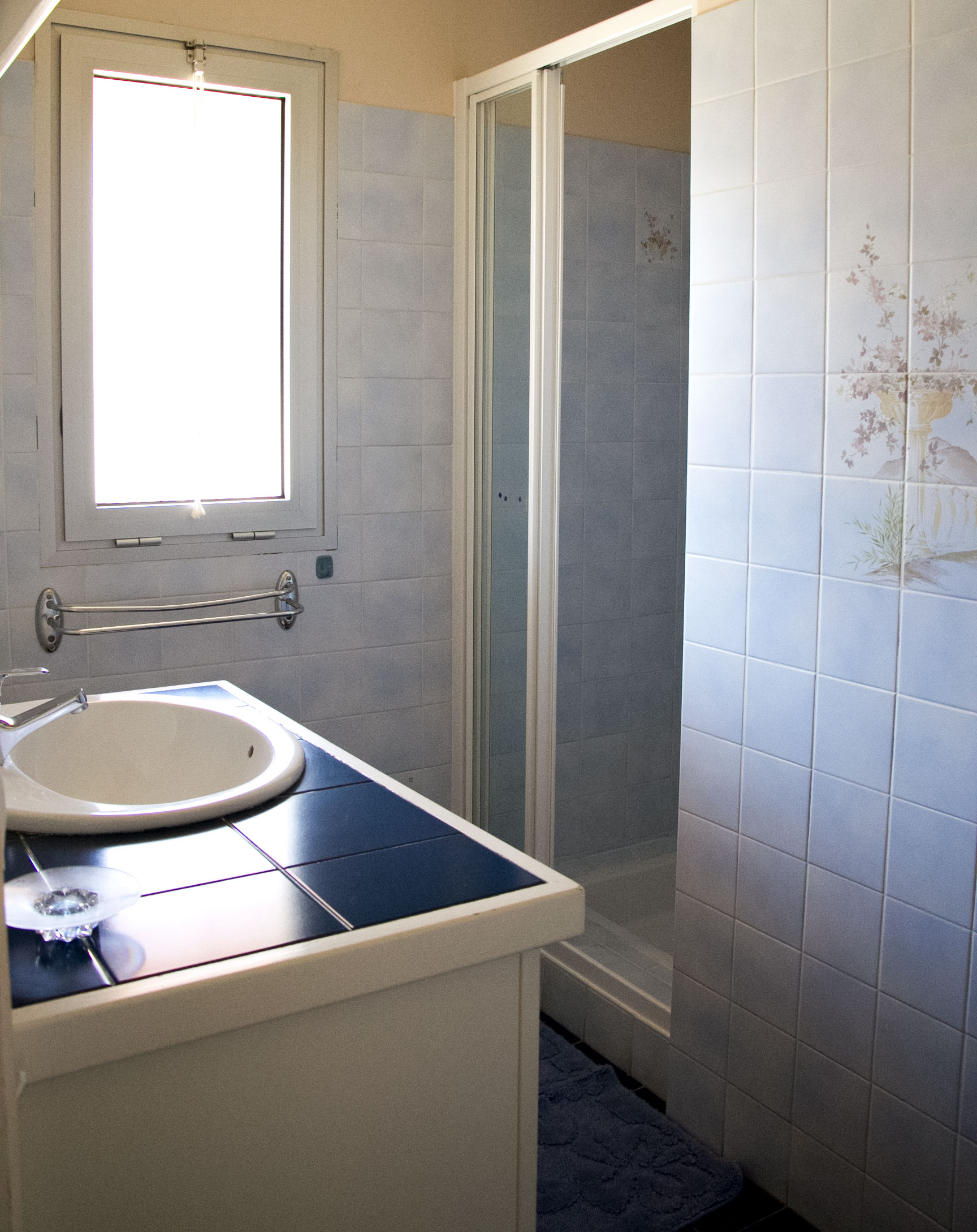 Les Albizias I n° 8 et n°9 - photo 2