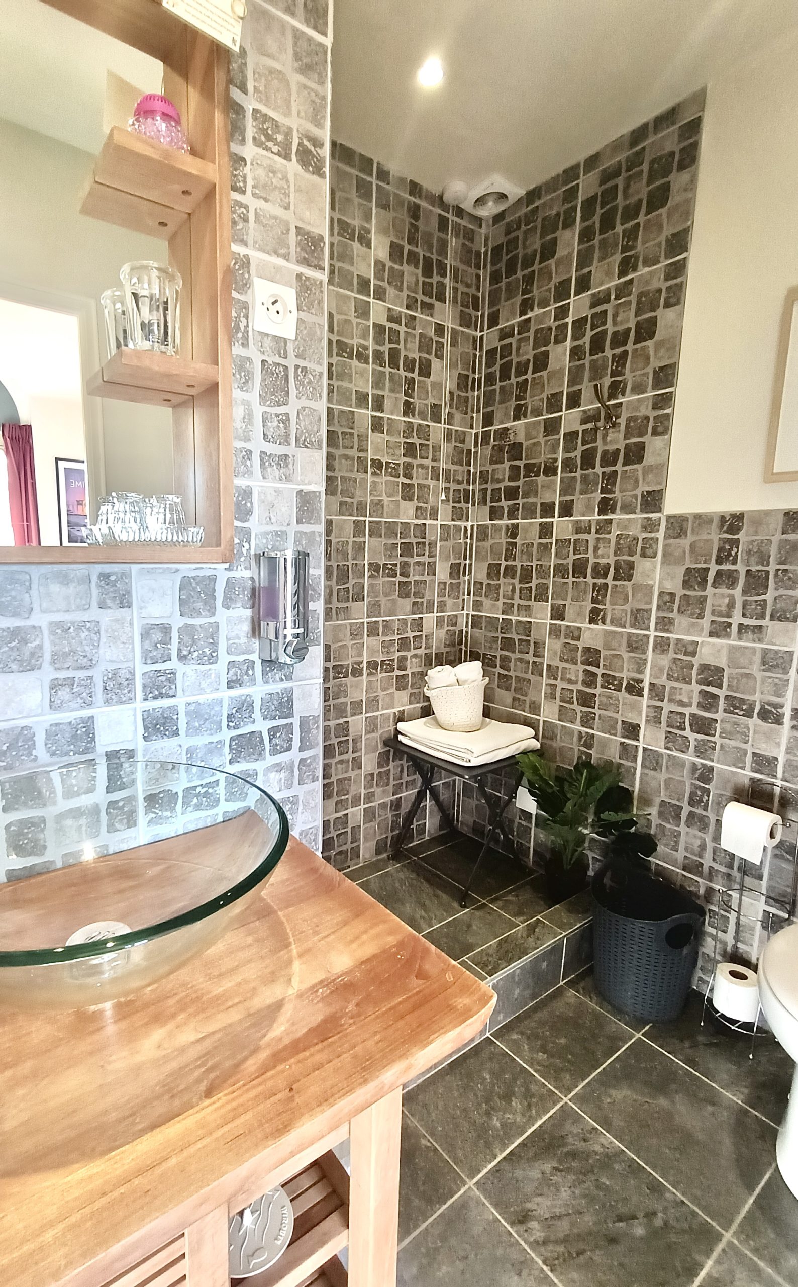 La Roseraie, Neuville-de-Poitou - photo 9