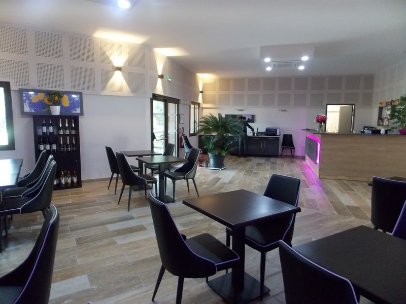 Hôtel du Lac - photo 2