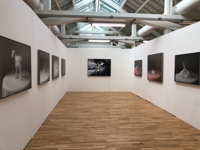 Salle d'exposition Théophile Boinot