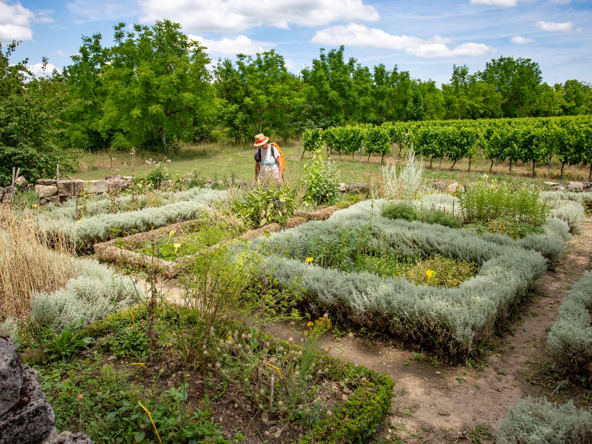 Jardin de la Commanderie de Sallebruneau