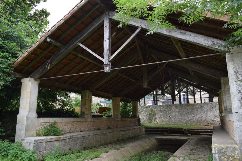 Parcours faune et flore Salladines, Salles - photo 2