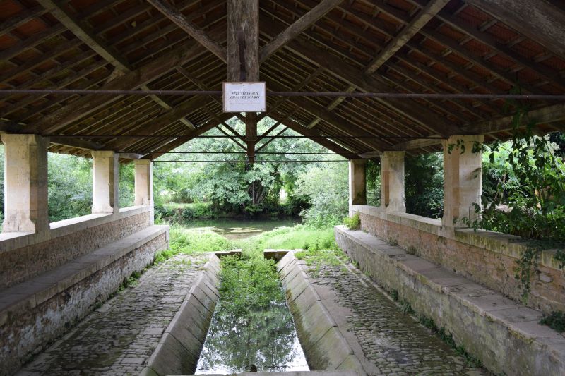 Parcours faune et flore Salladines, Salles - photo 4