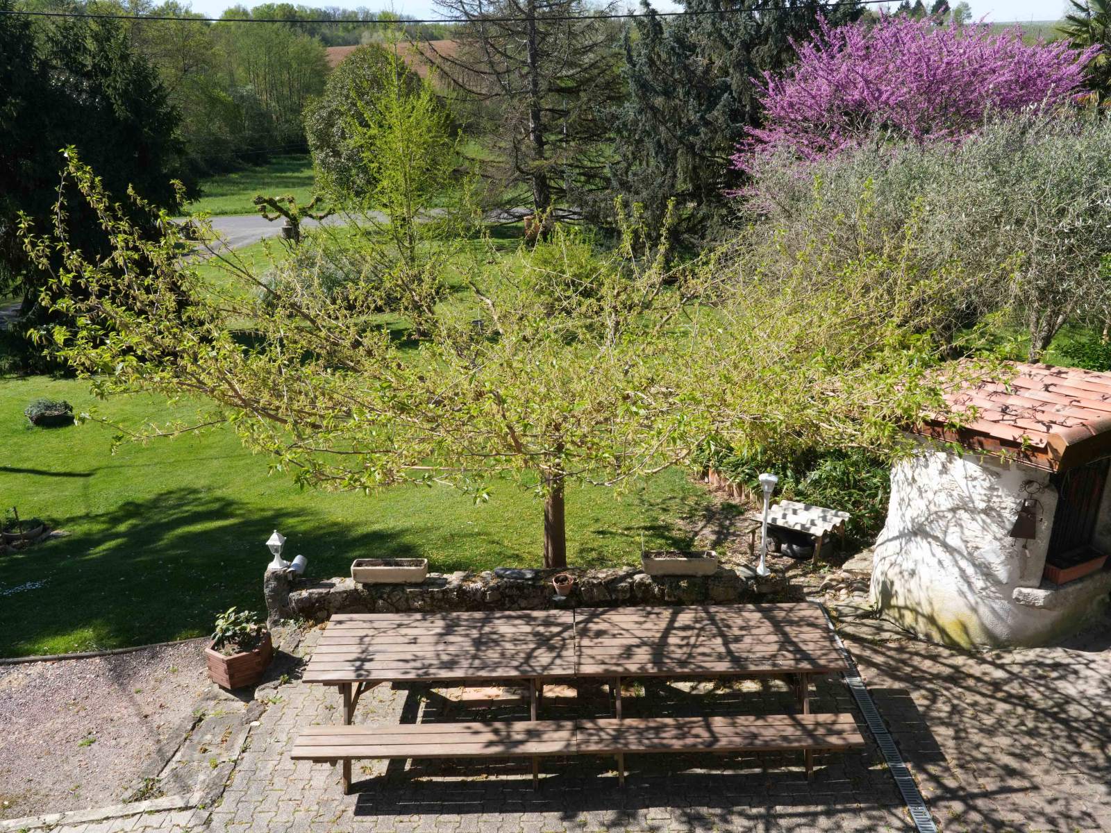 La Peyrière, Saint-Hilaire-de-la-Noaille - photo 17