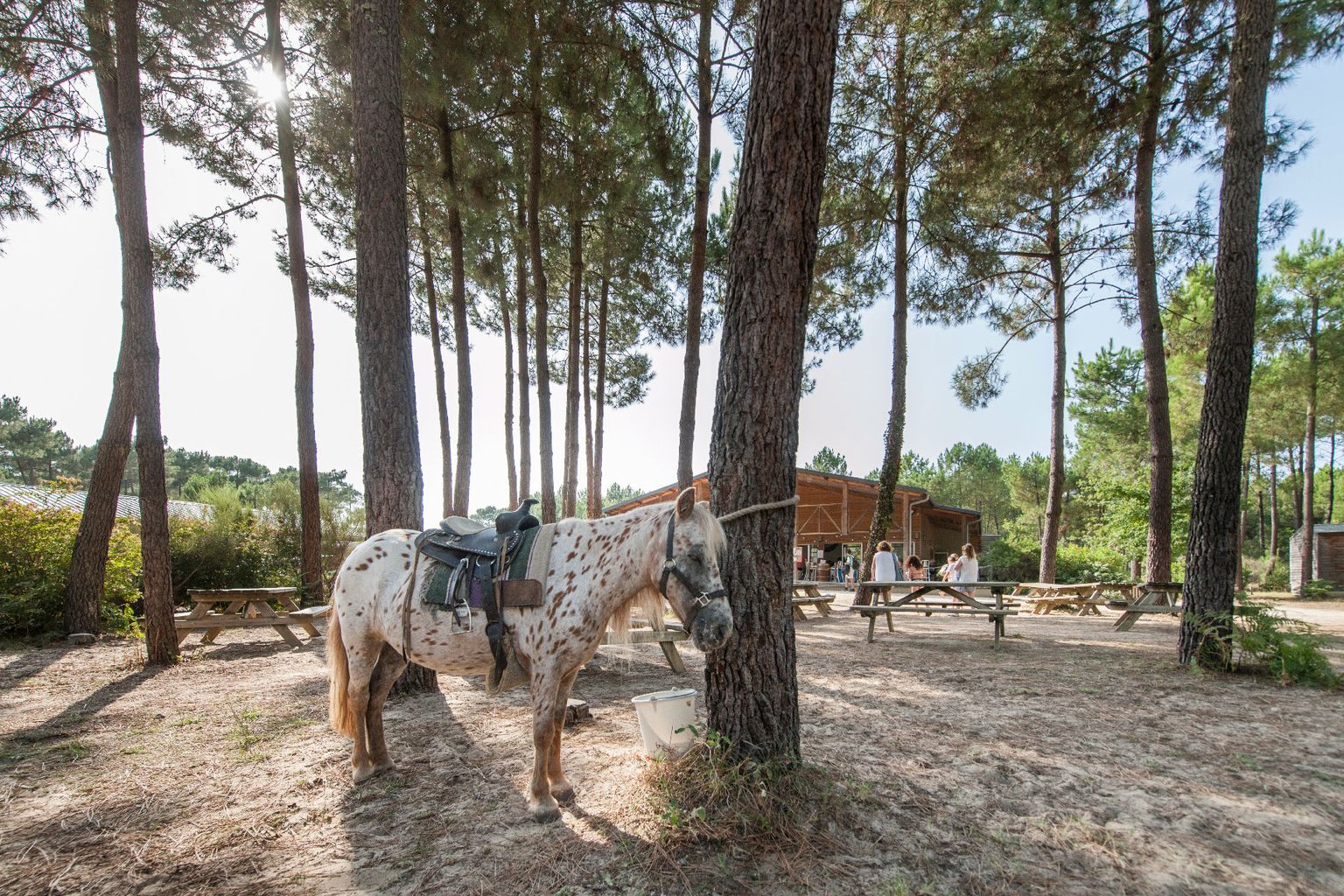 Camping Sandaya Soustons Village, Soustons - photo 12