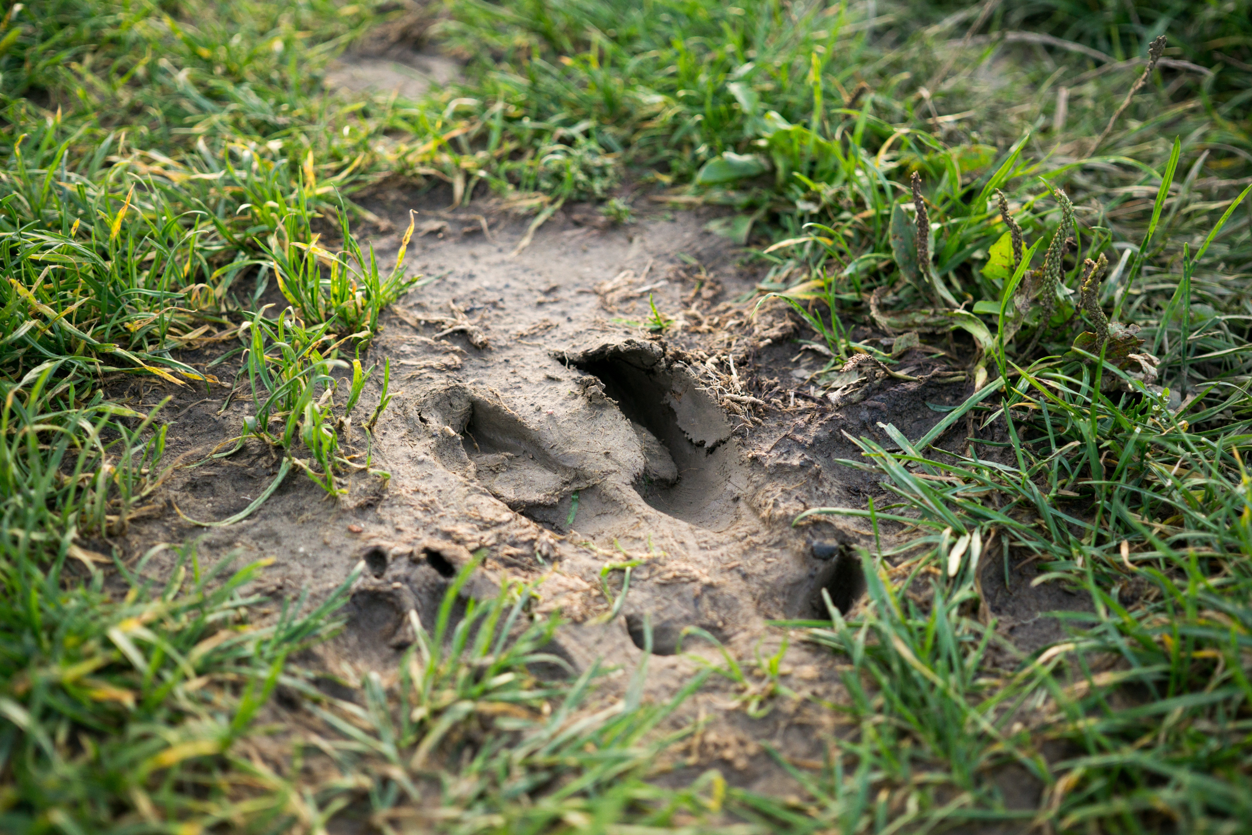Traces et indices