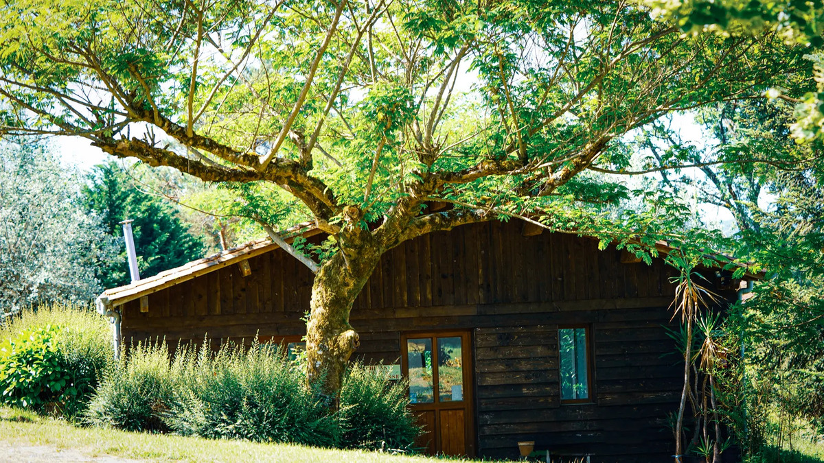 Camping Le Tilleul, Tursac - photo 5