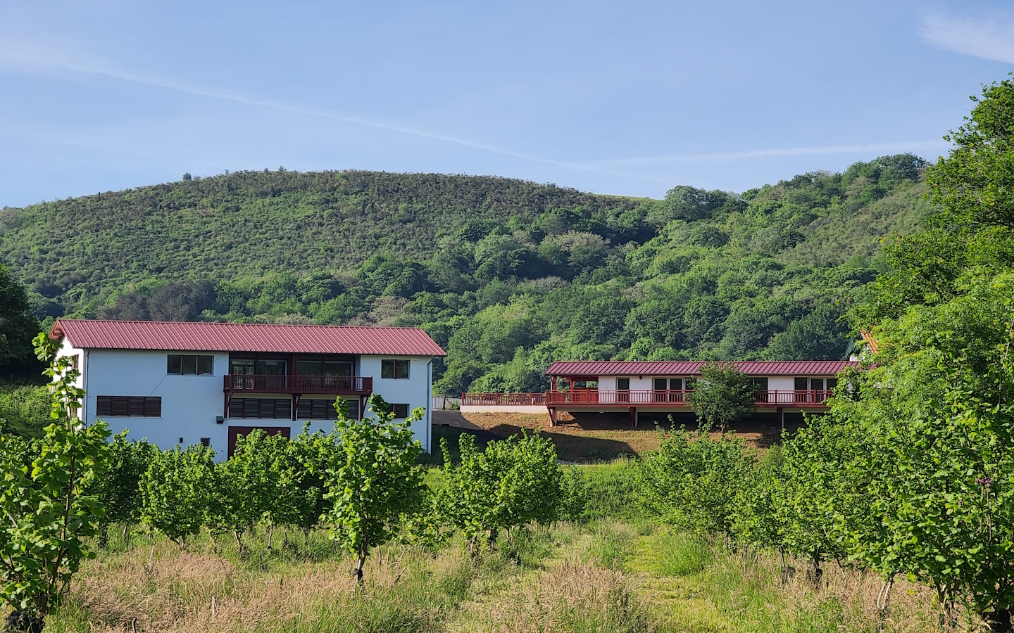 Huilerie Errota - La Noisette Basque, Saint-Pée-sur-Nivelle - photo 8
