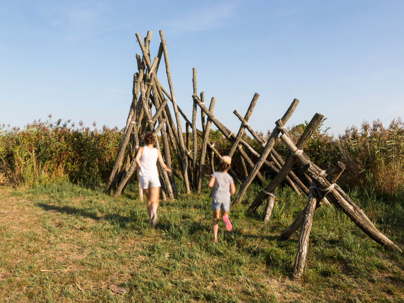 Terres d'Oiseaux - parc ornithologique, Braud-et-Saint-Louis - photo 4