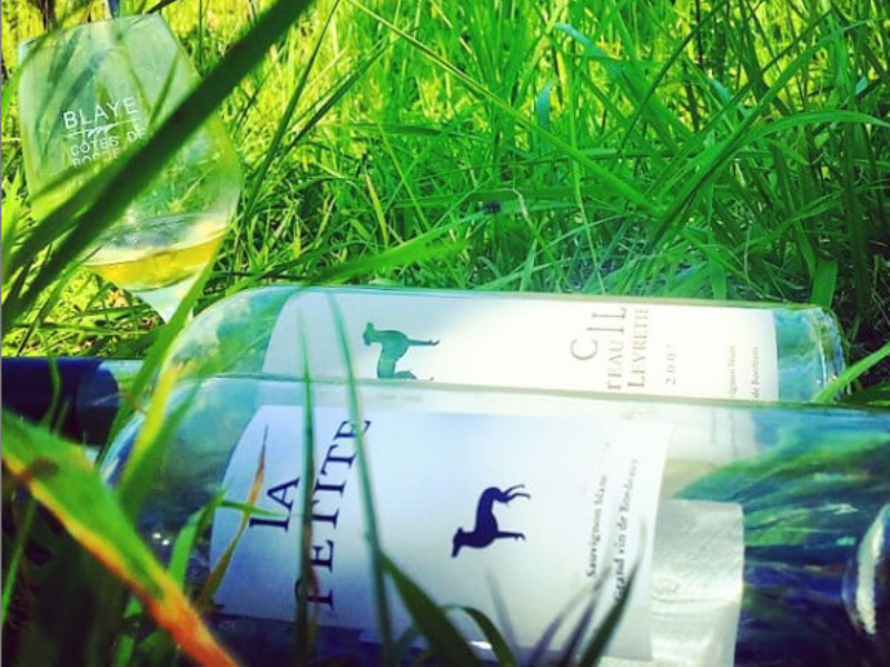 Château la Levrette - photo 2