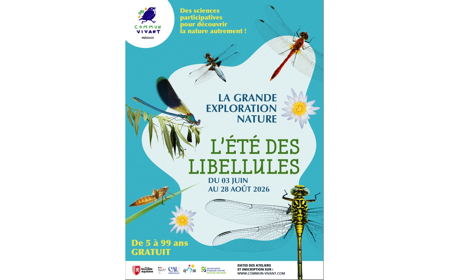 L'été des libellules — visuel événement