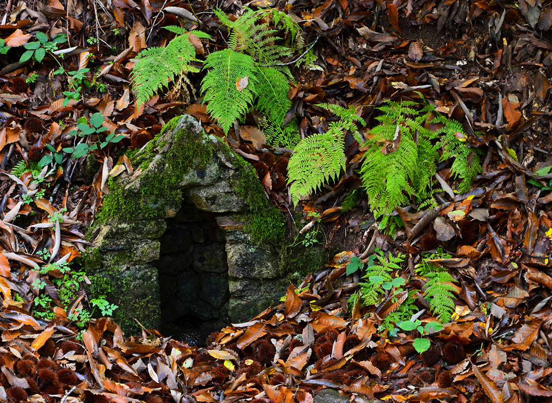 Les Bonnes Fontaines Saint-Eutrope, Bussière-Galant