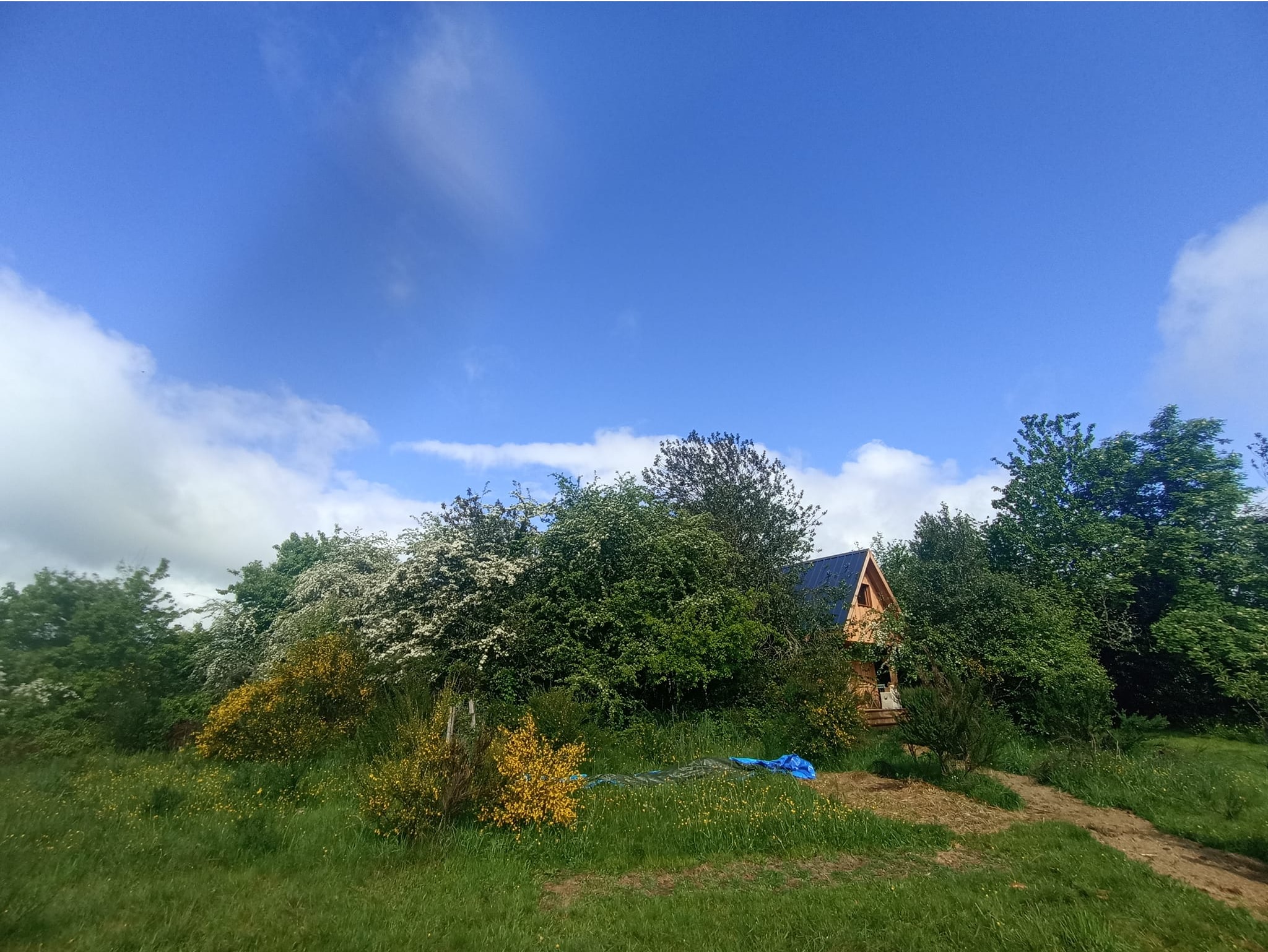 Cabane insolite à la ferme, Marcillac-la-Croisille - photo 4