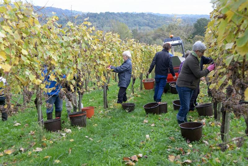 Domaine Capdevielle