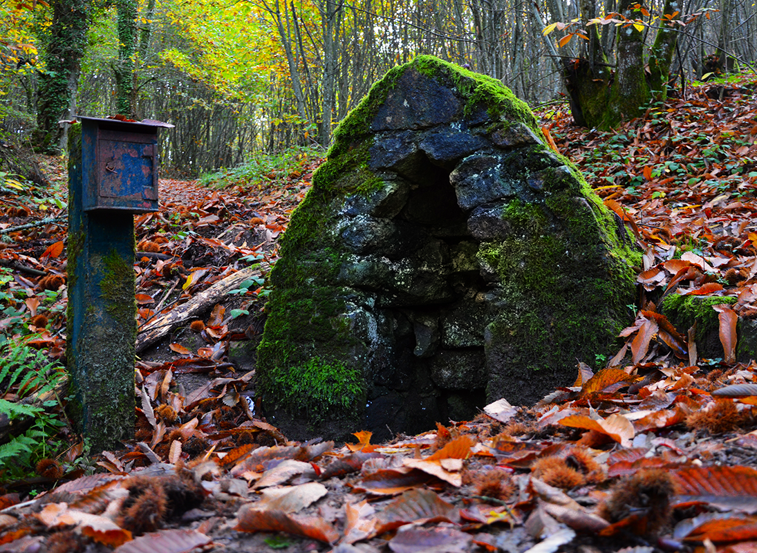Les Bonnes Fontaines Saint-Eutrope, Bussière-Galant - photo 3