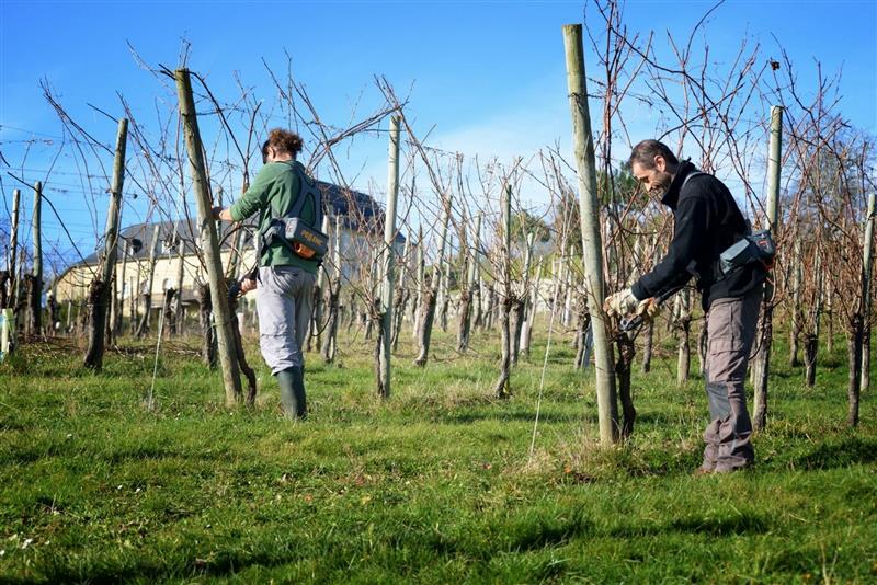 Domaine Capdevielle