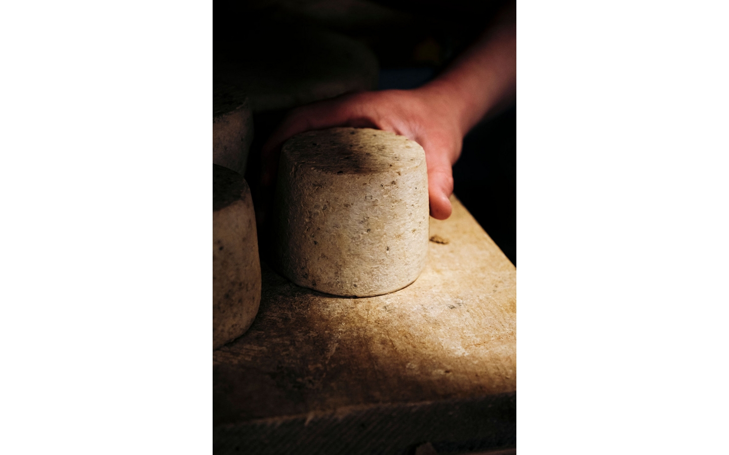 Atelier de fabrication Tommes de Brebis ou Chèvre