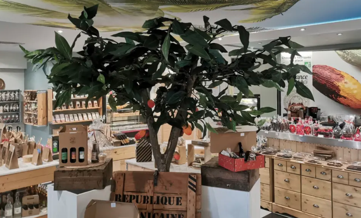 Alliance Cacao – Spa et espace bien-être - photo 5