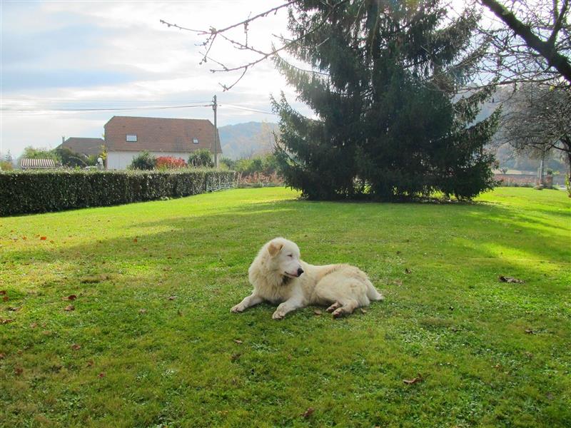 Gîte d'étape L'Estanquet