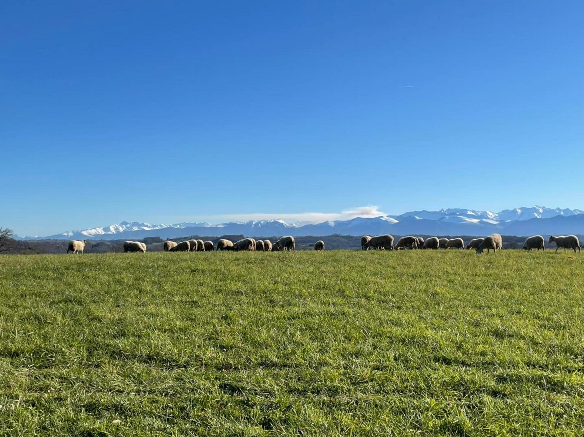 Ferme Coussirat - photo 4