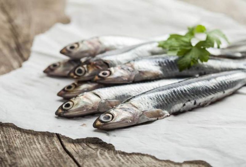 Domaine Maison Dodo, Lamonzie-Saint-Martin - photo 15