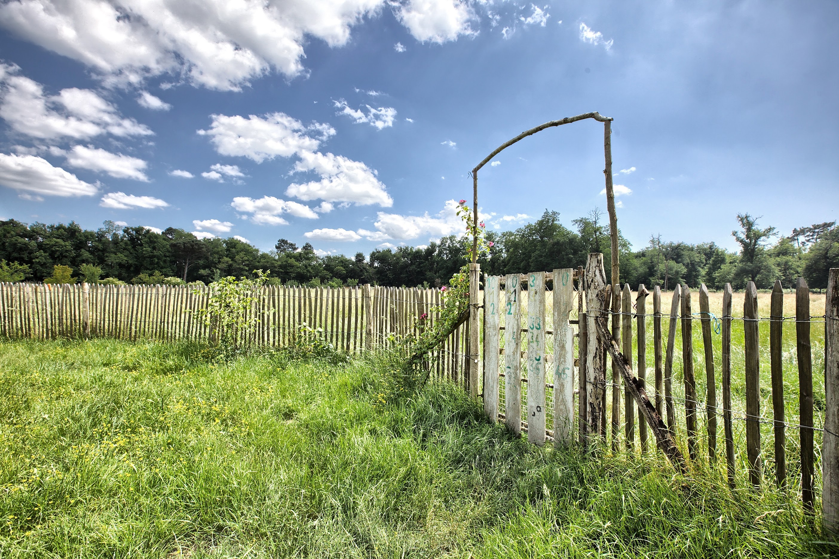 La Maison d'Olivier, Saucats - photo 21