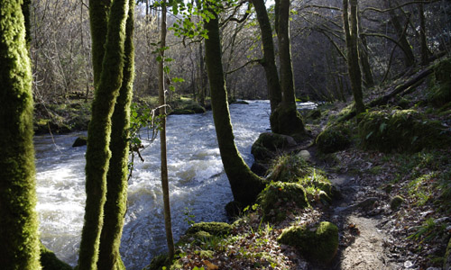 Le Saut du Chalard - photo 3