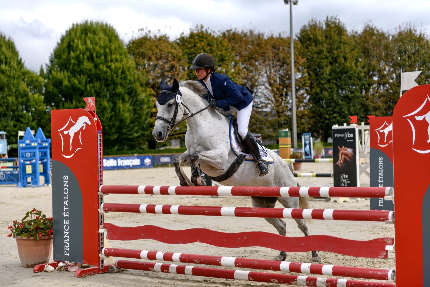 Fête du Cheval - photo 2