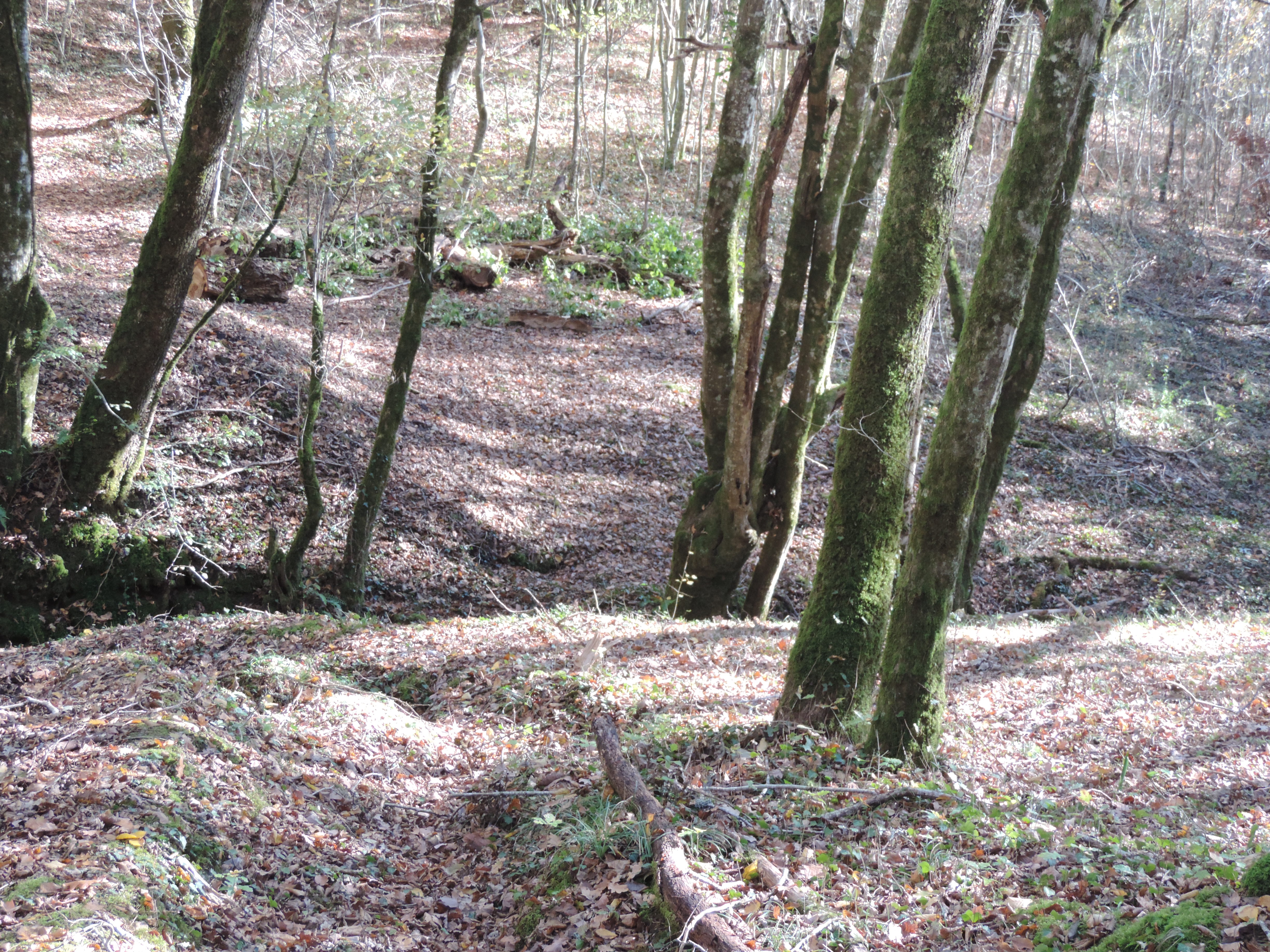 Chemin de la Queyrille, Queyssac-les-Vignes - photo 26