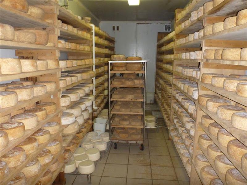 Ferme de Lou Viens