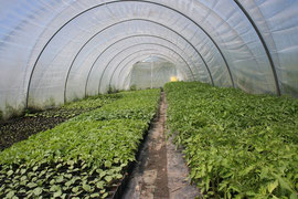 EARL Saveurs des collines