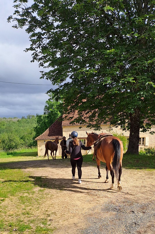 Terre de jade - Gîte du Hibou, Savignac-de-Miremont - photo 3