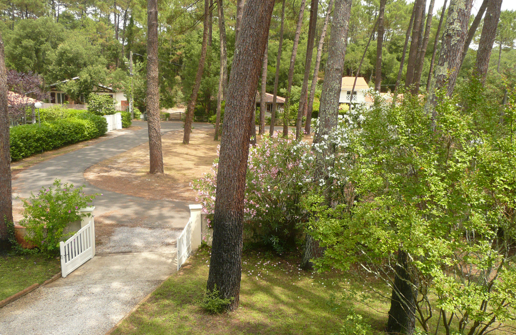 Schnee - Sous les Pins, Soorts-Hossegor - photo 5