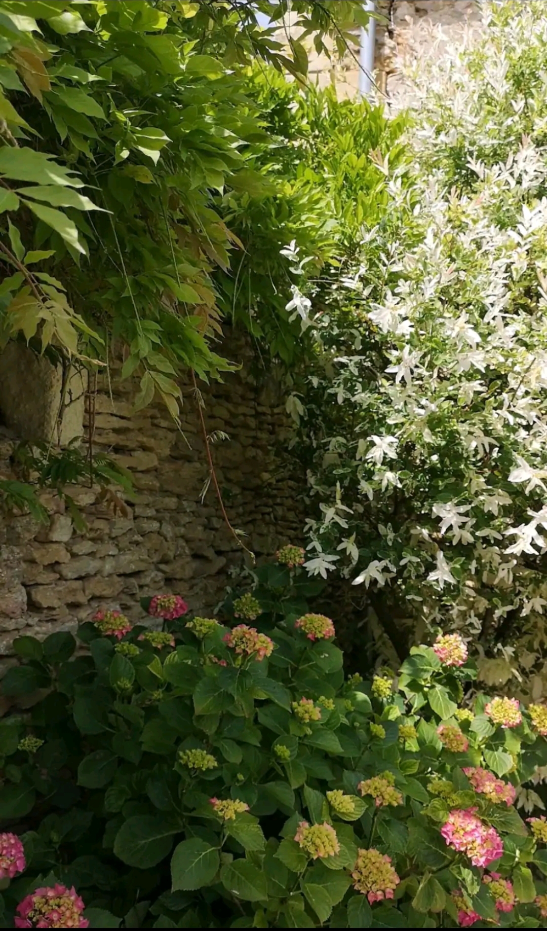 La Ferme du Grand Bois, Mouterre-Silly - photo 6