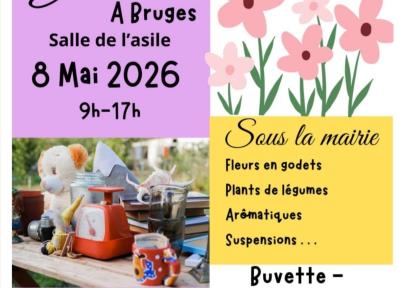 Marché aux fleurs et vide grenier