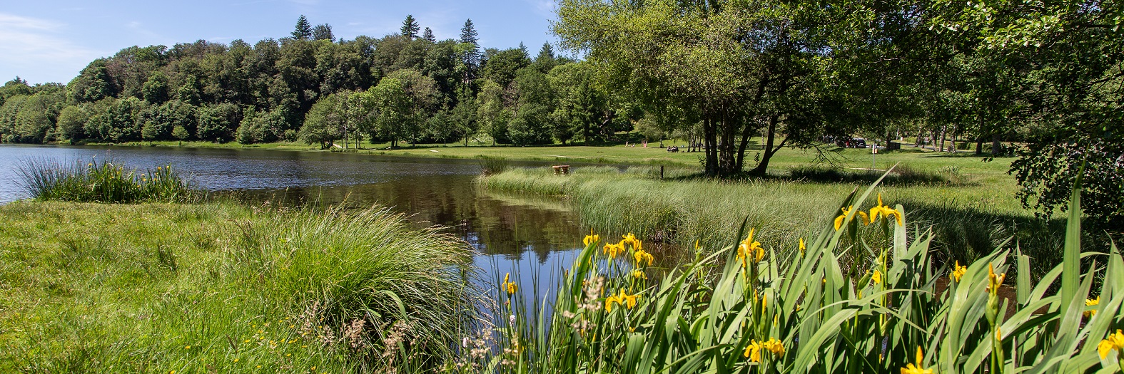 Lac de Séchemailles, Meymac - photo 3