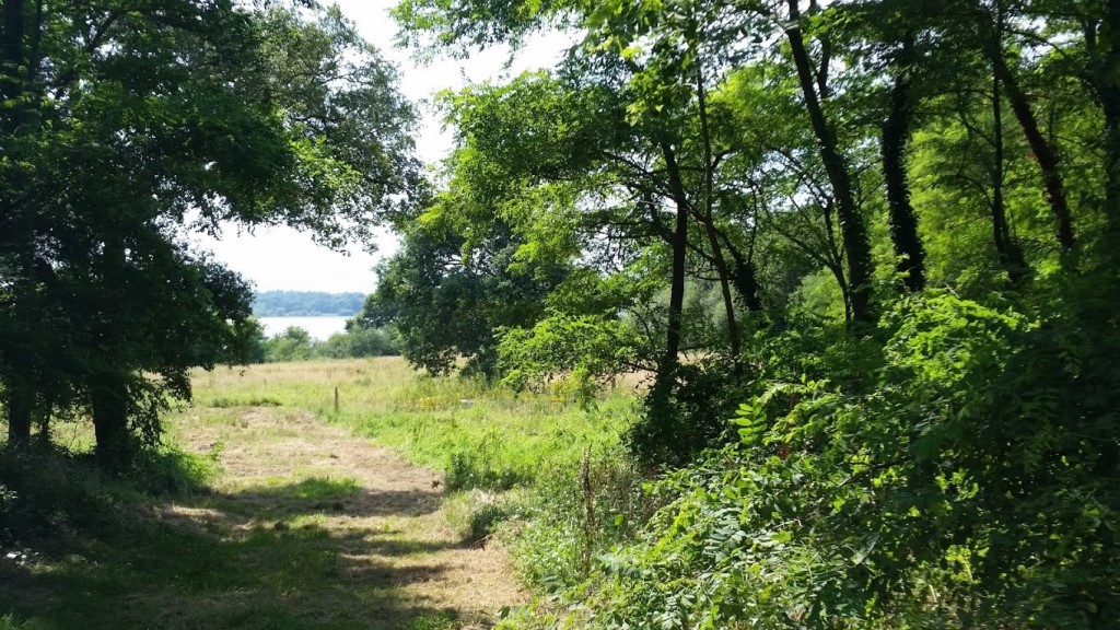 Gîte La Ferme du Claous, Orx - photo 20