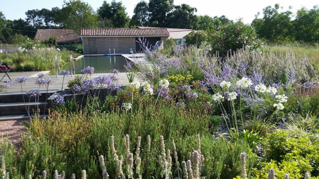 Gîte La Ferme du Claous, Orx - photo 2