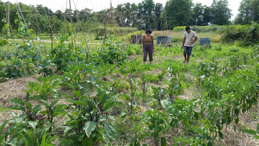 Gîte La Ferme du Claous, Orx - photo 24
