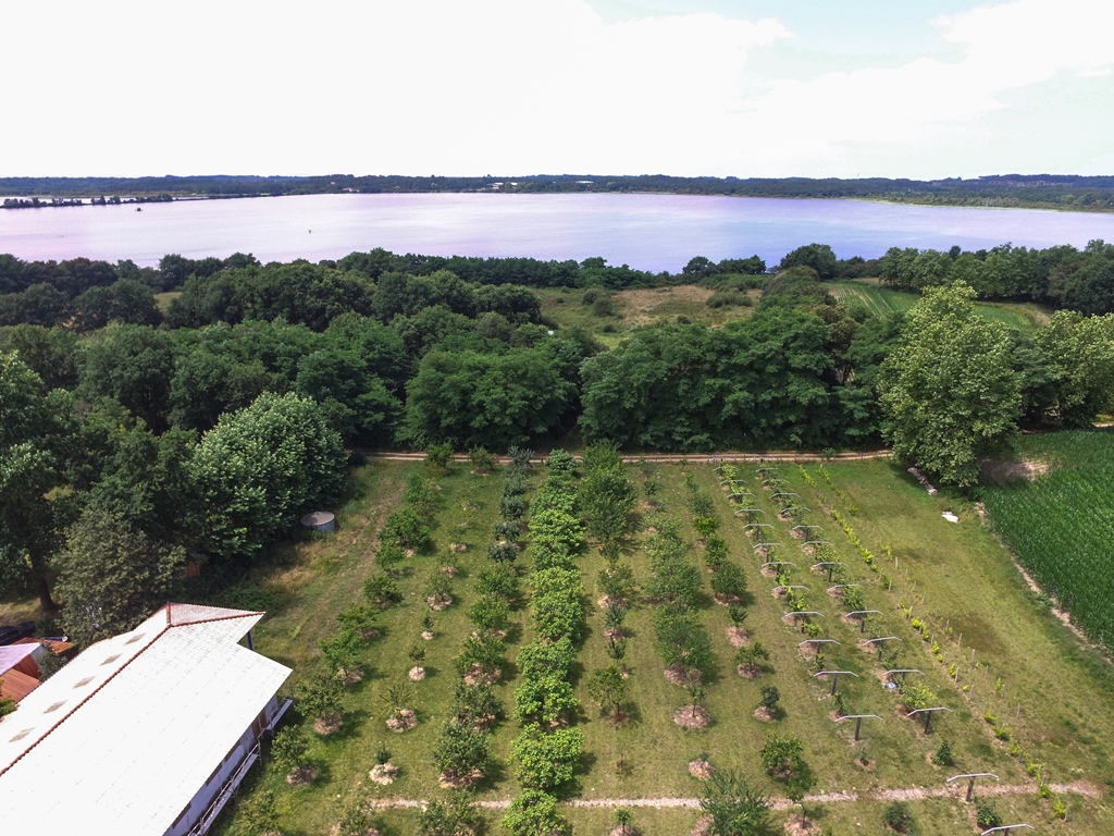 Gîte La Ferme du Claous, Orx - photo 25