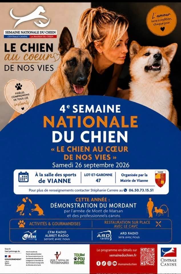 Le chien au coeur de nos vies
