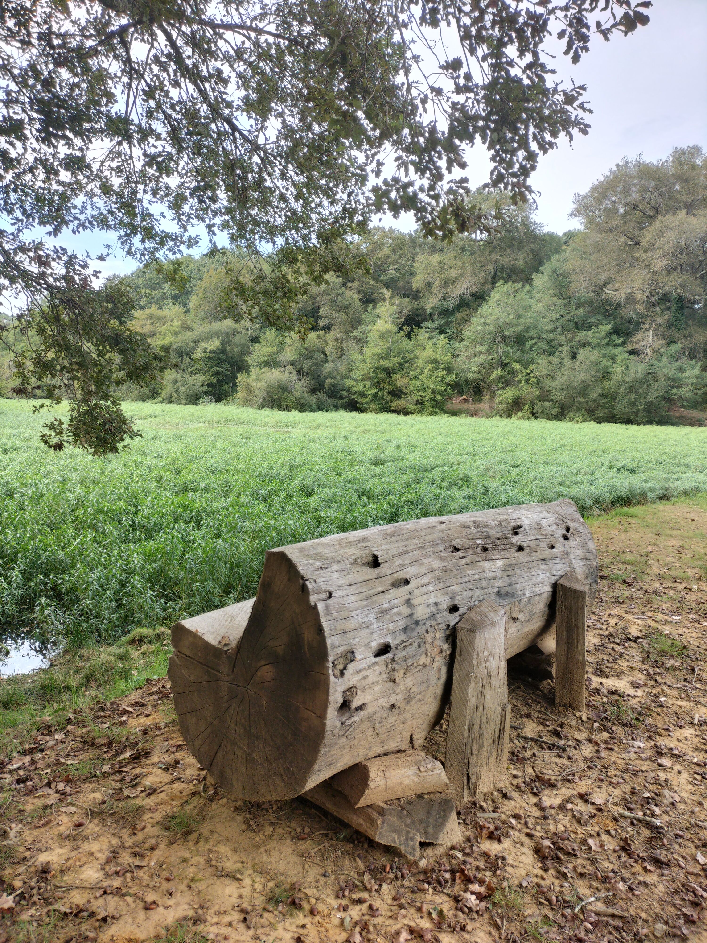 Sentier découverte du domaine de Garanx