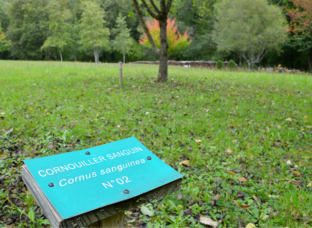 Sentier Musical - photo 2