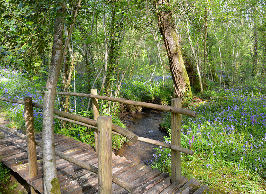 Sentier Musical, Pageas - photo 7