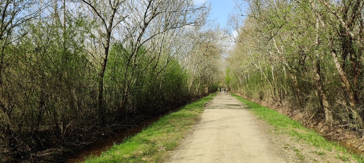 Terre de Barthe