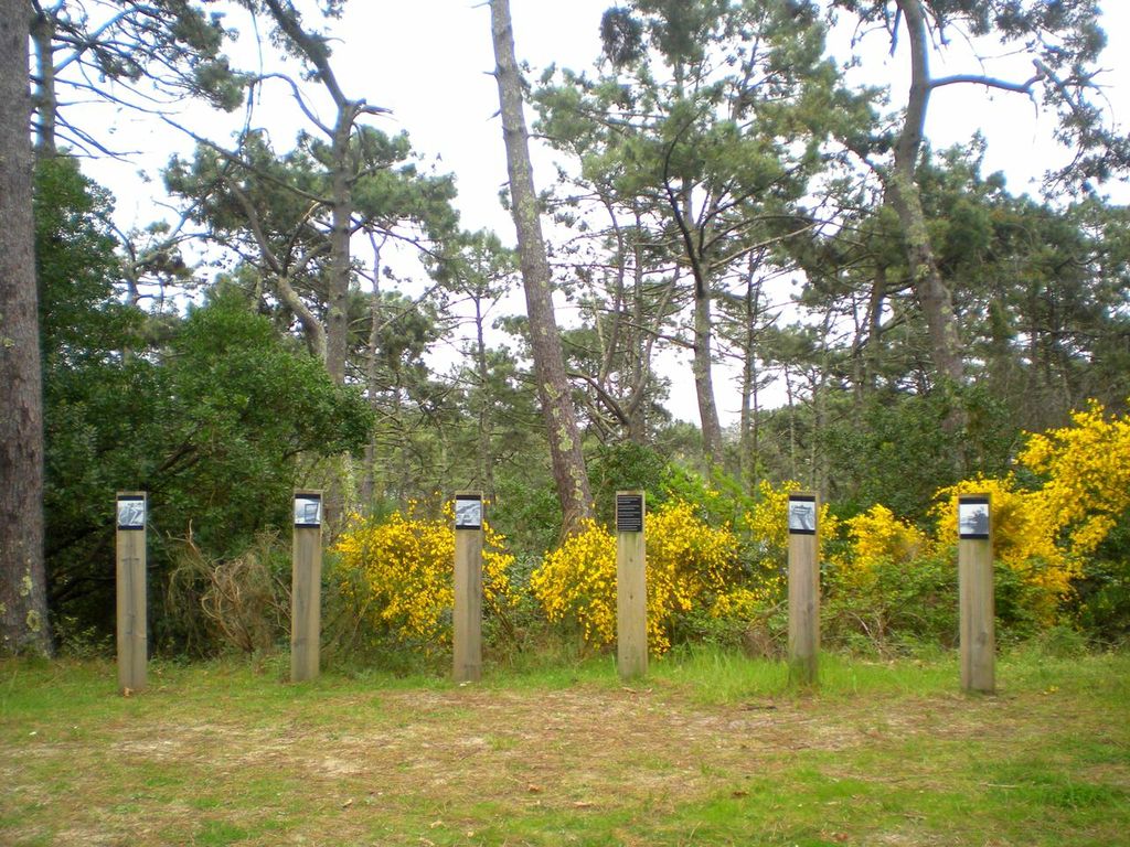 Réservoirs de Piraillan, Lège-Cap-Ferret - photo 5